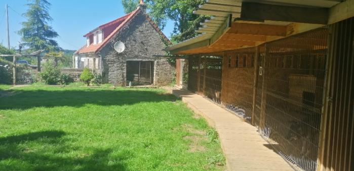 espace chien jardin