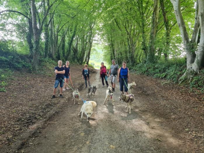 groupe randonée chiens