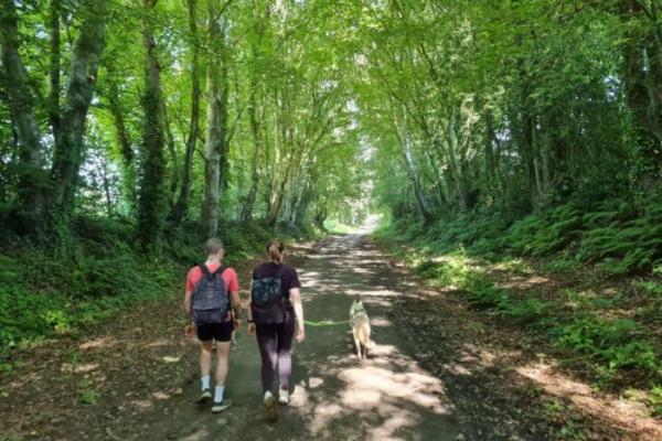 CANI RANDONNEE, la proximité avec son chien de traineau