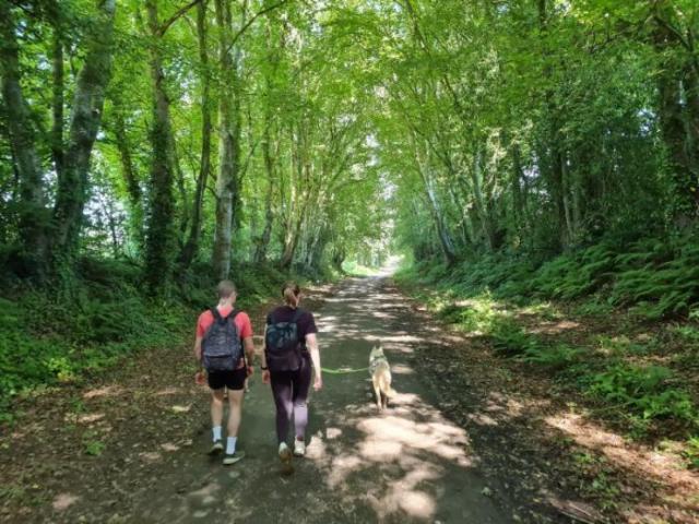 CANI RANDONNEE, la proximité avec son chien de traineau