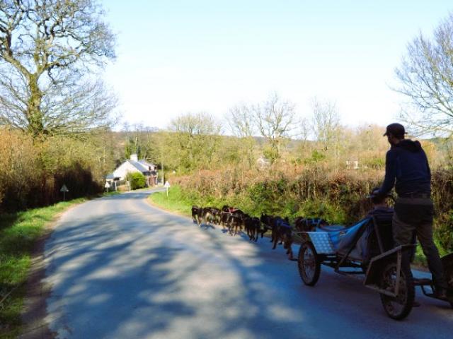 CANI KART, le baptême avec un attelage de chien de traineau