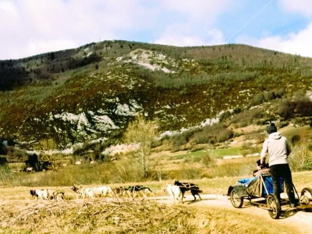 Vos sorties plein air en famille avec les chiens de traineau en Charente à EYMOUTHIERS