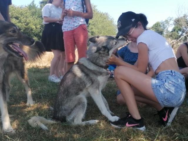 VISITE DES PARCS, découvrir leur environnement